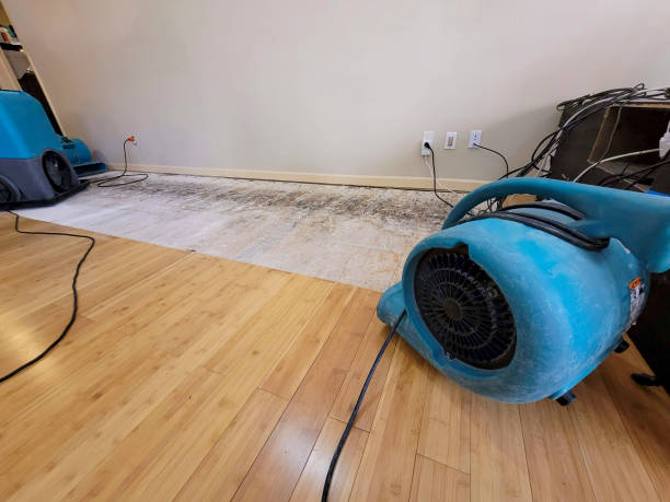 Professional Sewage Cleanup technician working in Springville, CA